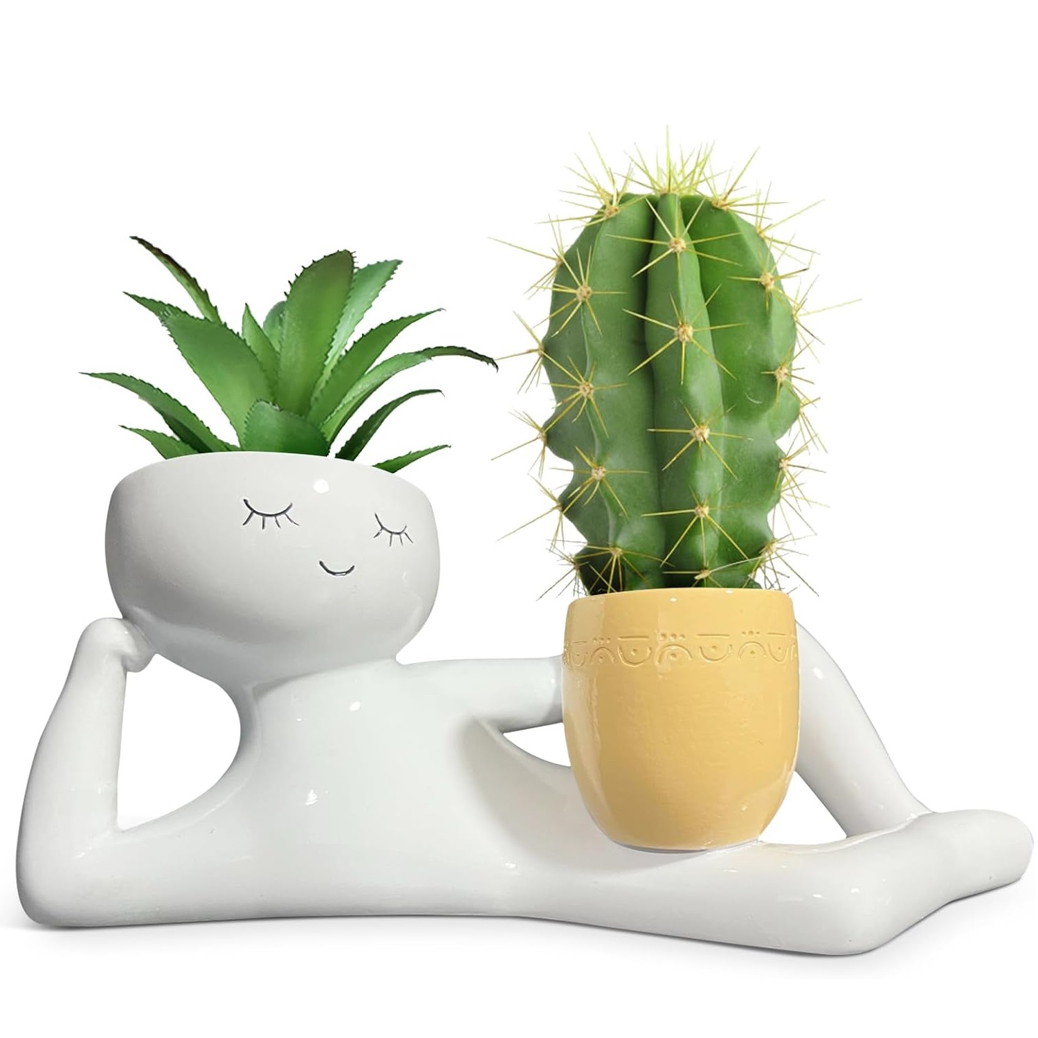 Lazy Little Guy Planter Unique - огляд і ціна Echeveria Succulent