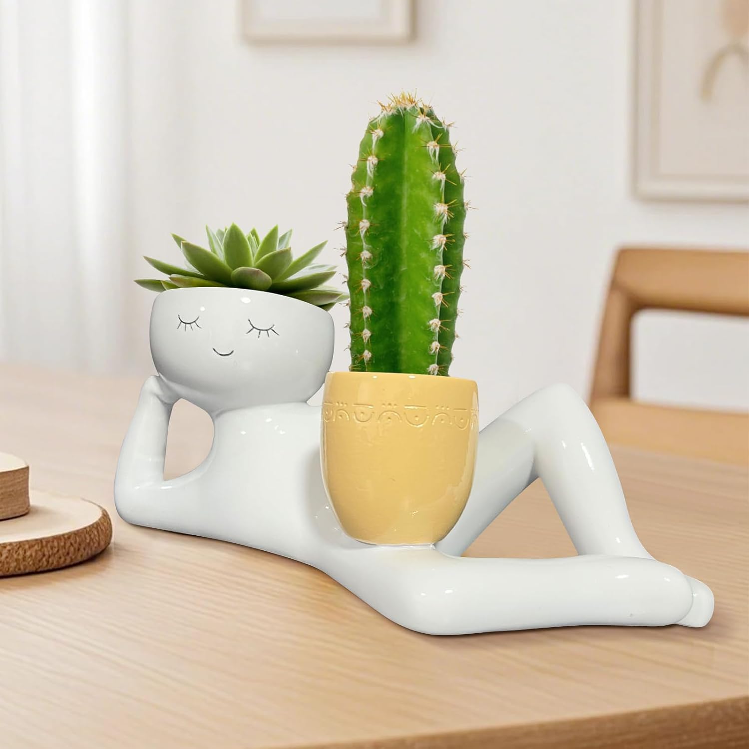 Lazy Little Guy Planter Unique - огляд і ціна Echeveria Succulent