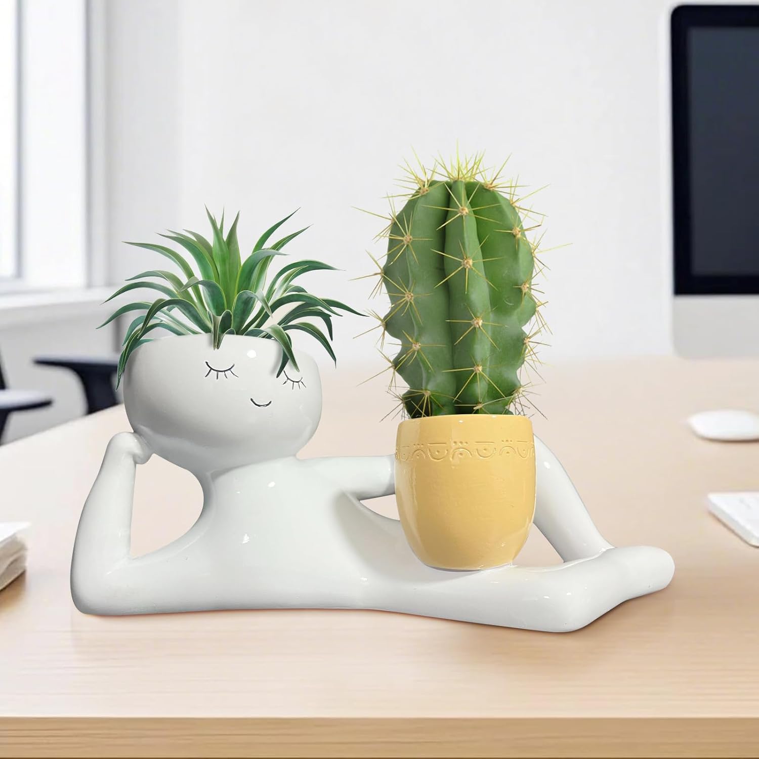 Lazy Little Guy Planter Unique - огляд і ціна Echeveria Succulent