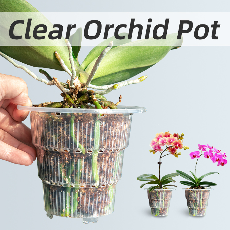 Meshpot Clear Plastic Orchid P - огляд і ціна Aloe Vera Pot