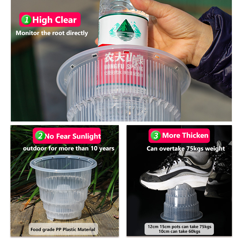Meshpot Clear Plastic Orchid P - огляд і ціна Aloe Vera Pot