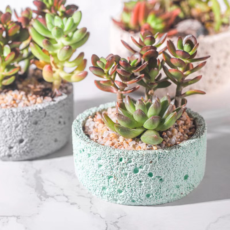Nordic cement flowerpot simple - огляд і ціна Echeveria Succulent