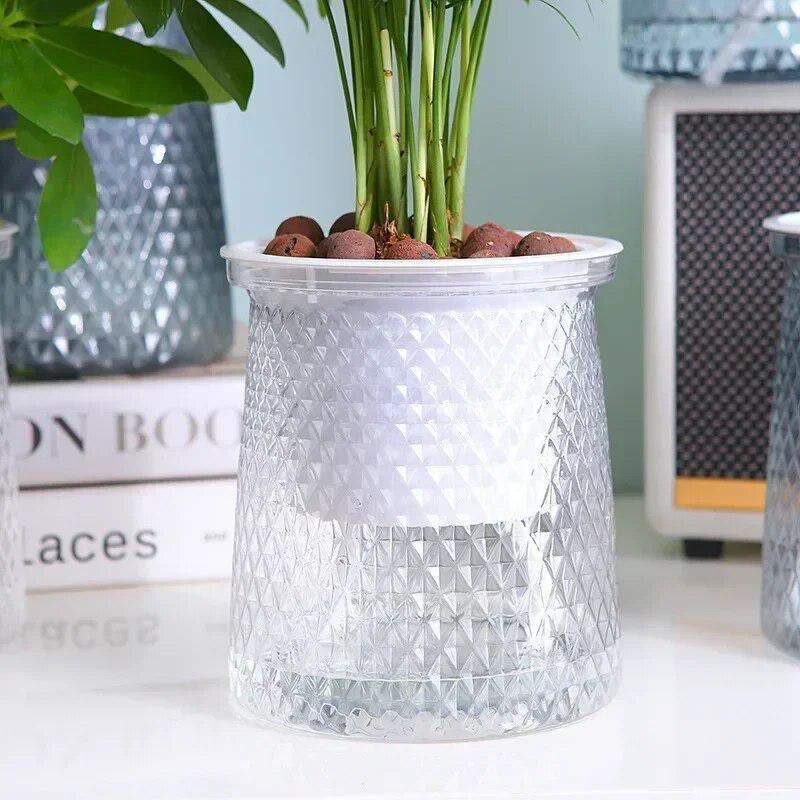 2024 Transparent Self Watering - огляд і ціна Aloe Vera Pot