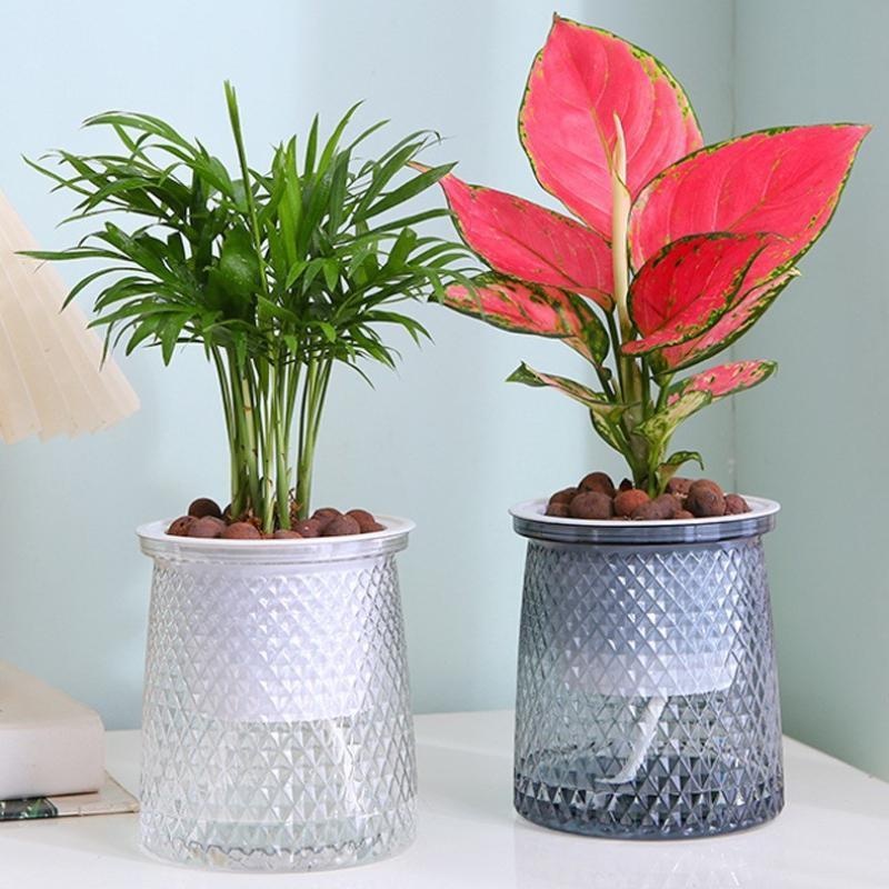 2024 Transparent Self Watering - огляд і ціна Aloe Vera Pot