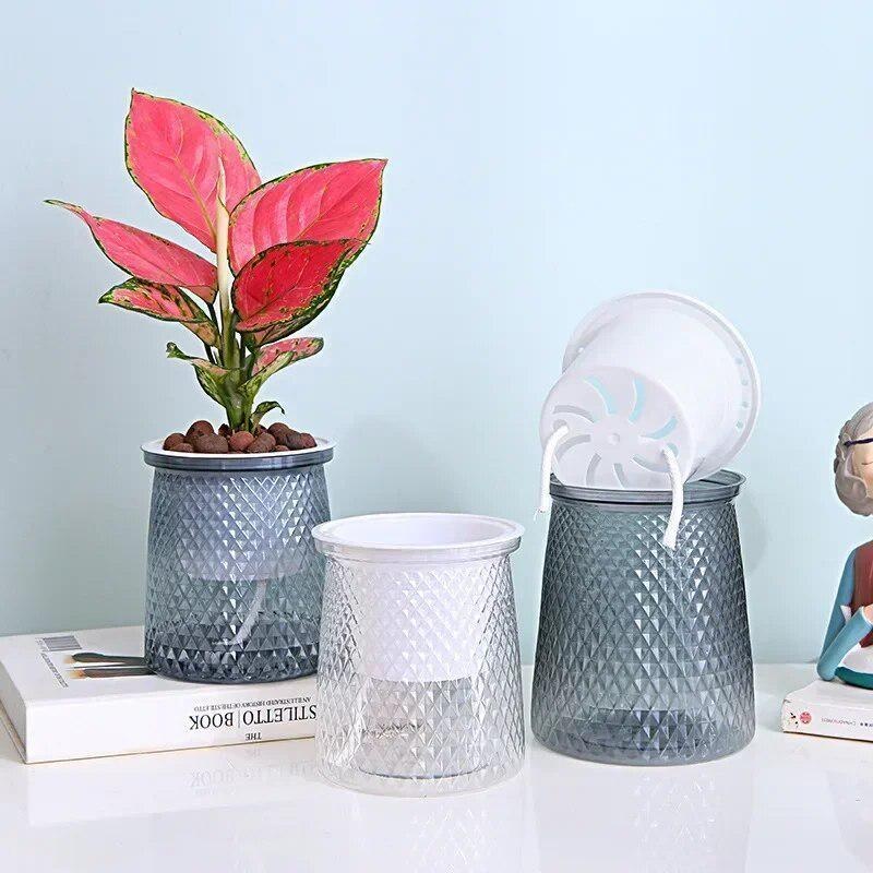2024 Transparent Self Watering - огляд і ціна Aloe Vera Pot