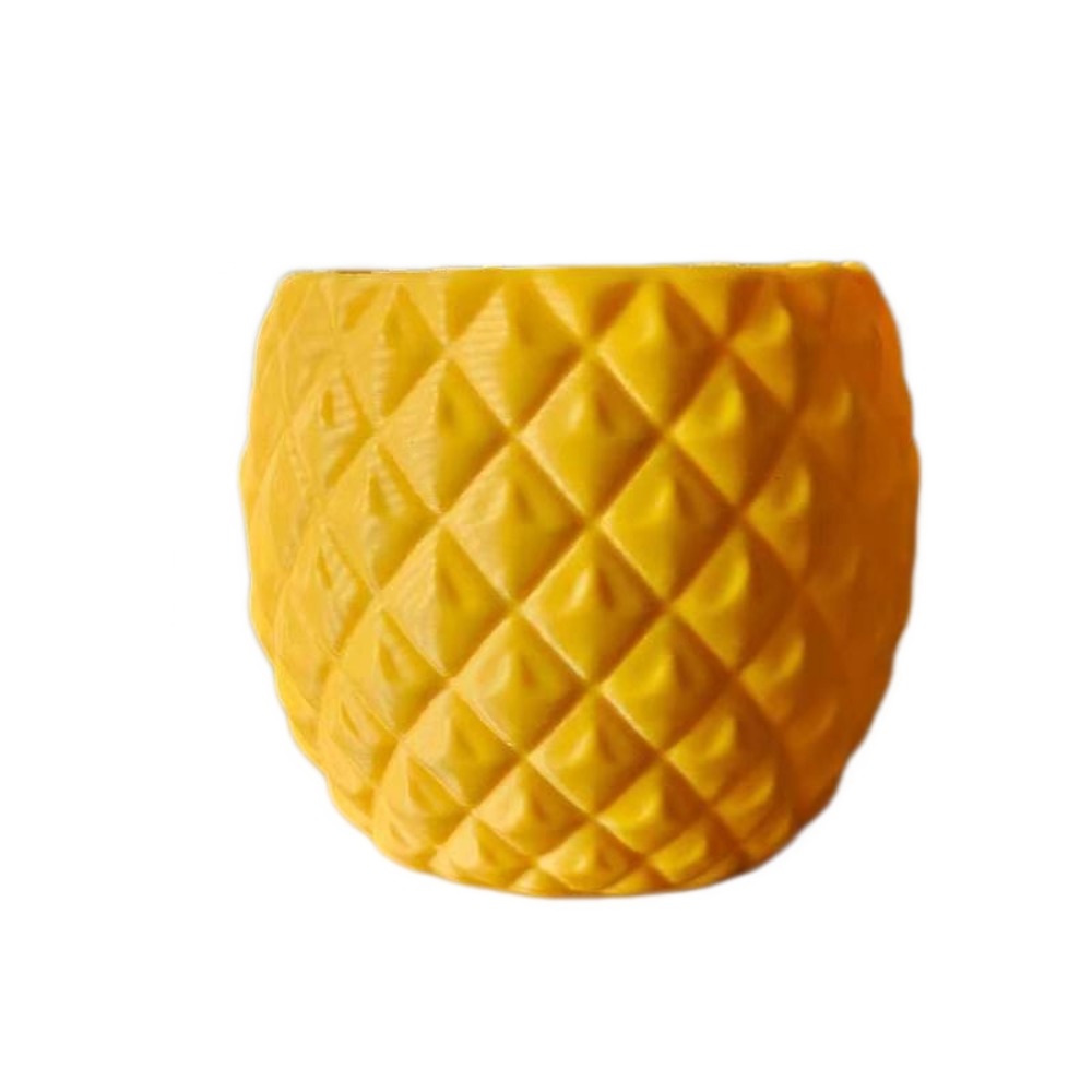 Plastic Fruit Flower Pot 3D Pr - огляд і ціна Echeveria Succulent