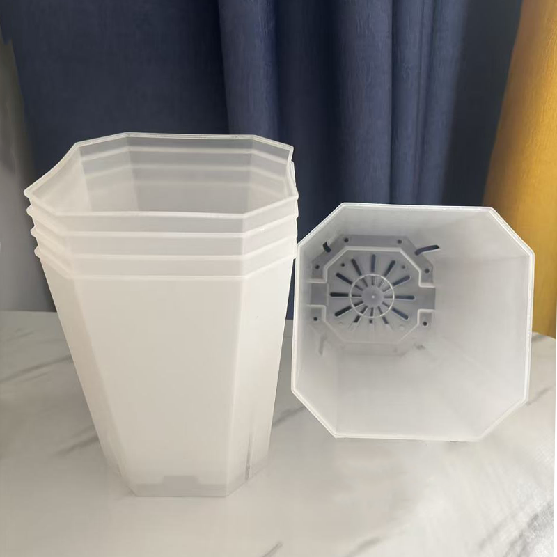 5PCS Transparent Flowerpot 15c - огляд і ціна Echeveria Succulent