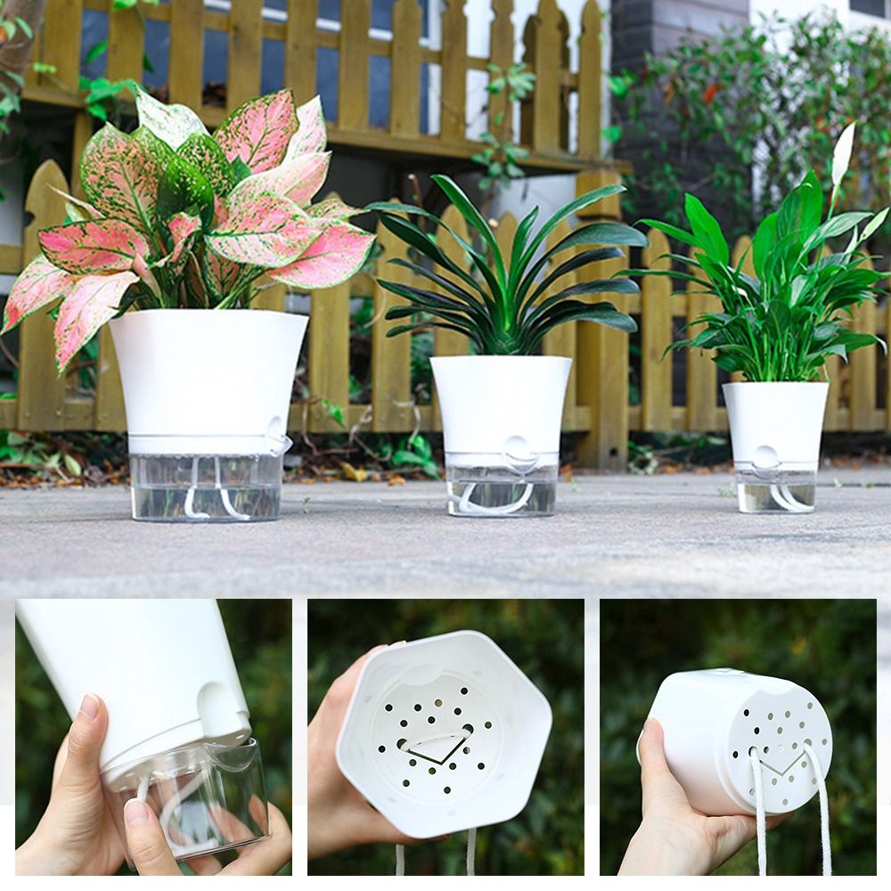 Transparent Double Layer Plast - огляд і ціна Aloe Vera Pot