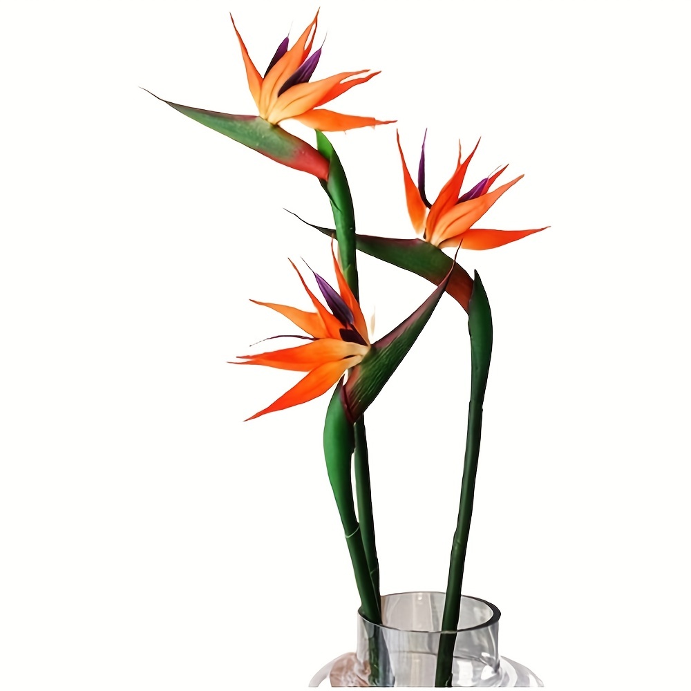 3pcs Artificial Bird Of Paradi - огляд і ціна Bird Paradise Strelitzia
