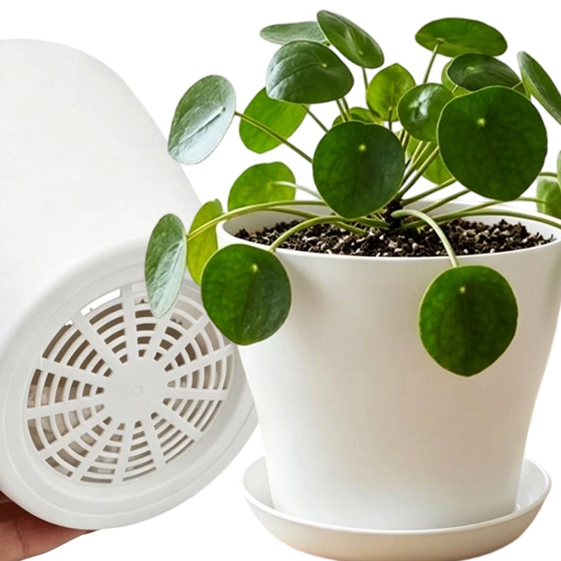 Plant Pot Set with Drainage Ho - огляд і ціна Aloe Vera Pot