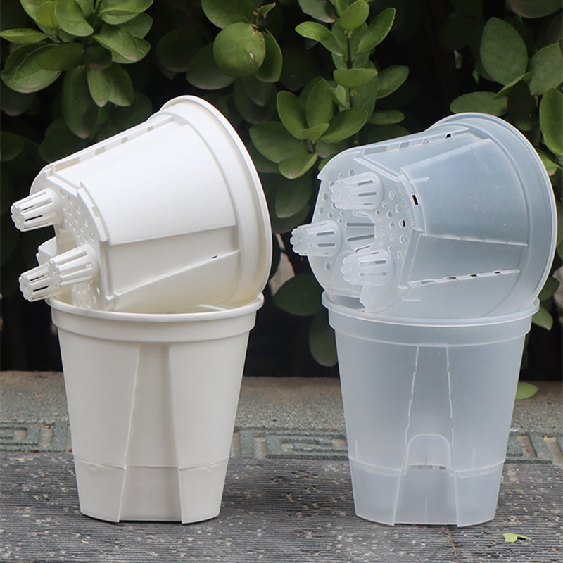 5pcs Transparent Orchid Pot wi - огляд і ціна Aloe Vera Pot