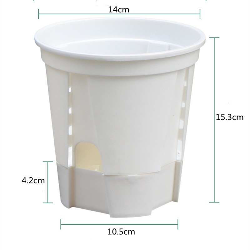 5pcs Transparent Orchid Pot wi - огляд і ціна Aloe Vera Pot